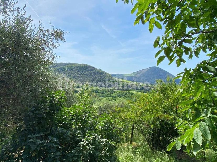 Rustico via Forestana, Cinto Euganeo — foto 10 di 14