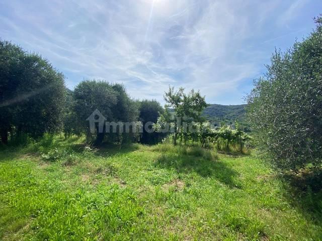 Rustico via Forestana, Cinto Euganeo — foto 2 di 14