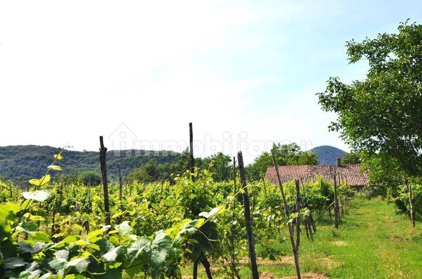 Rustico via Forestana, Cinto Euganeo — foto 11 di 14