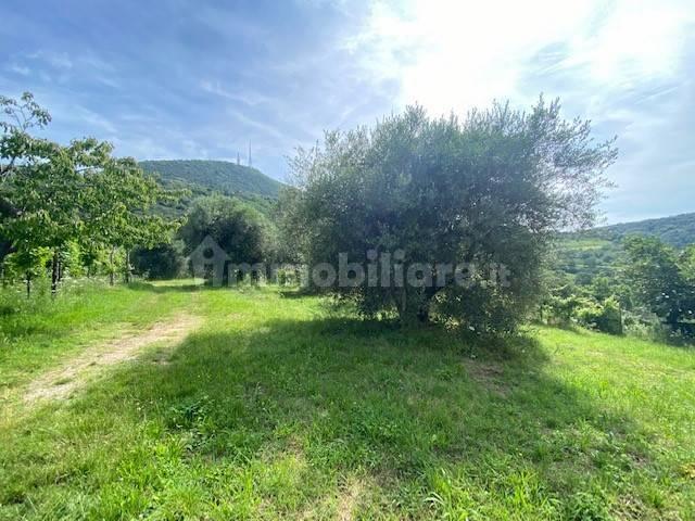 Rustico via Forestana, Cinto Euganeo — foto 3 di 14