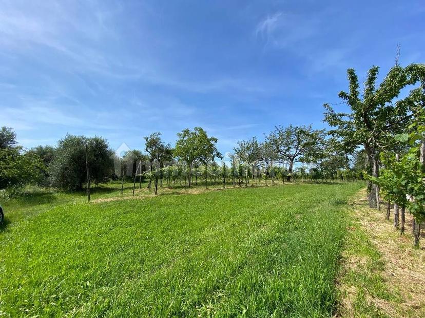 Rustico via Forestana, Cinto Euganeo — foto 5 di 14