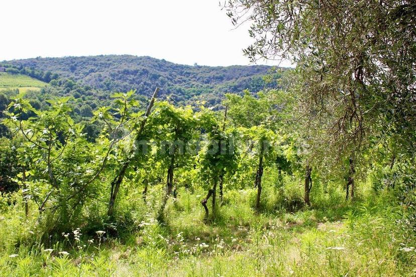 Rustico via Forestana, Cinto Euganeo — foto 14 di 14