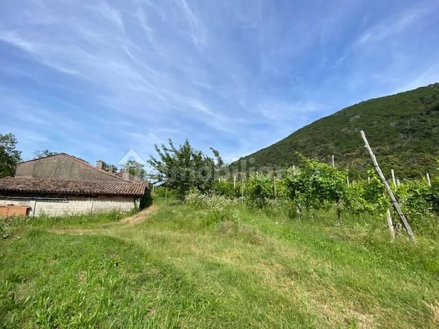 Rustico via Forestana, Cinto Euganeo — foto 13 di 14