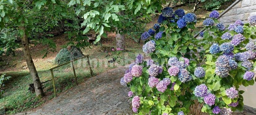 Villa unifamiliare via del Migliano, Centro, Vaiano — foto 19 di 22