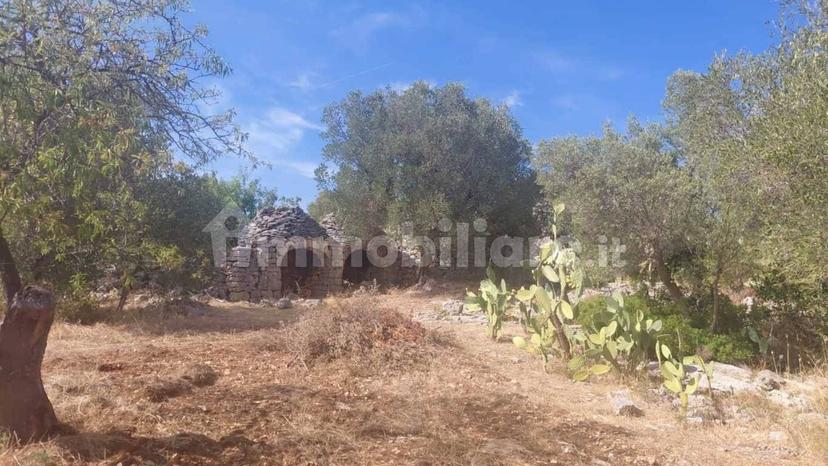 Rustico via Battaglia, Villa Castelli — foto 11 di 21