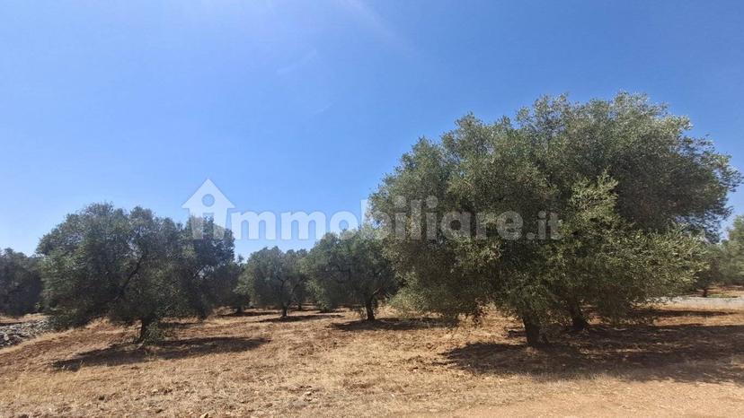 Rustico via Battaglia, Villa Castelli — foto 17 di 21