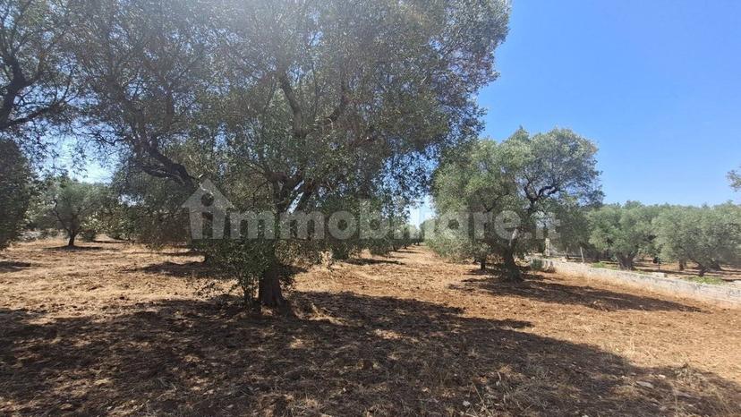 Rustico via Battaglia, Villa Castelli — foto 18 di 21