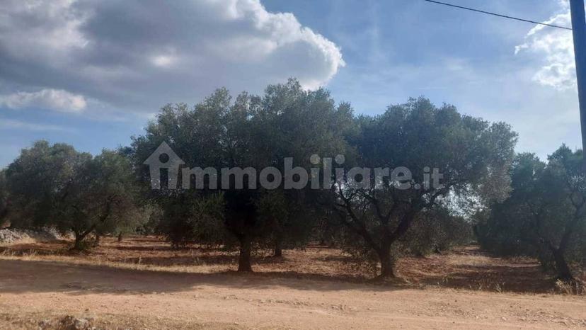 Rustico via Battaglia, Villa Castelli — foto 21 di 21