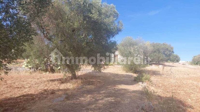 Rustico via Battaglia, Villa Castelli — foto 20 di 21