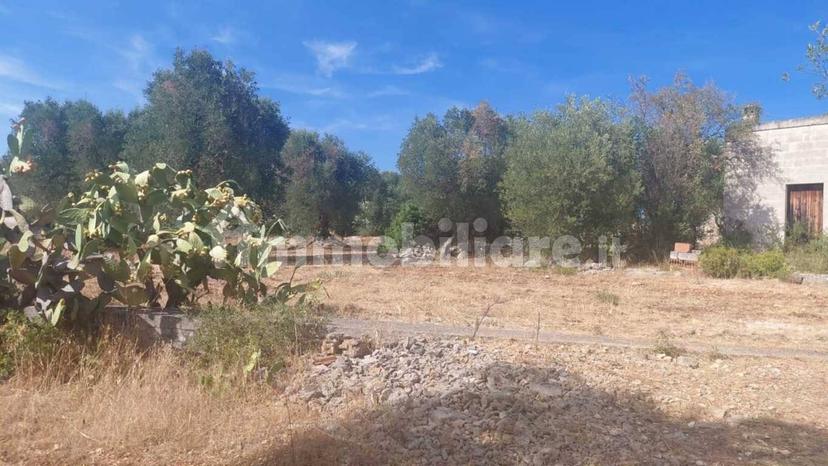 Rustico via Battaglia, Villa Castelli — foto 13 di 21