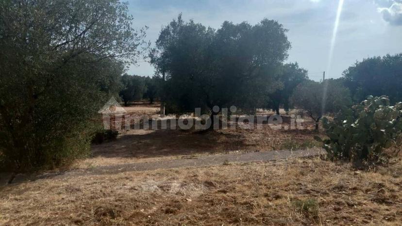 Rustico via Battaglia, Villa Castelli — foto 15 di 21
