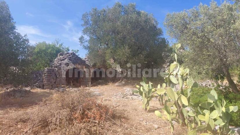 Rustico via Battaglia, Villa Castelli — foto 8 di 21