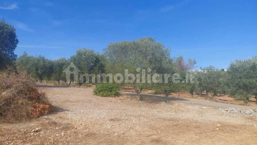 Rustico via Battaglia, Villa Castelli — foto 12 di 21