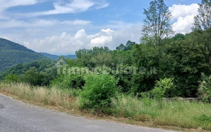 Appartamento Località Careggia, Careggia, Tresana — foto 36 di 40