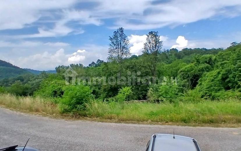 Appartamento Località Careggia, Careggia, Tresana — foto 25 di 40