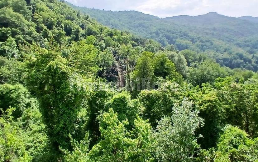 Appartamento Località Careggia, Careggia, Tresana — foto 40 di 40