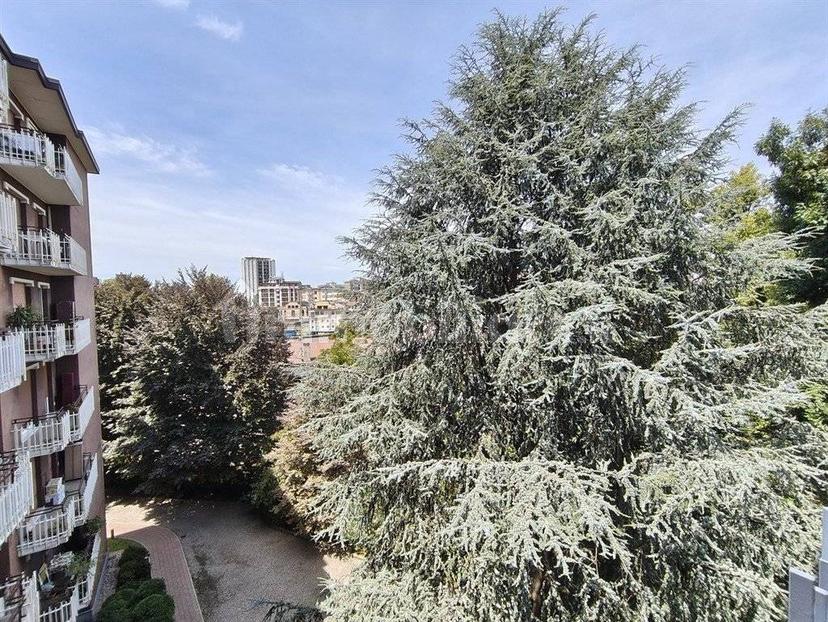 Bilocale via Castelfidardo 8, Regina Pacis - Borsa, Monza — foto 14 di 17