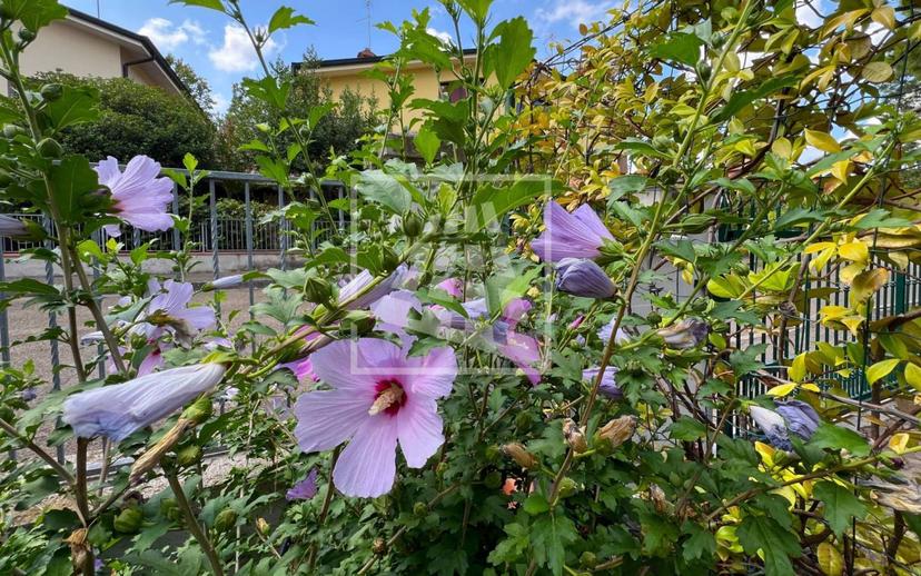 Villa unifamiliare via Walter Tobagi 4, Ospizio - San Maurizio, Reggio Emilia — foto 16 di 72