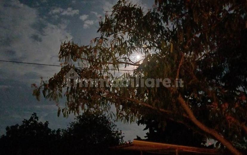Villa unifamiliare Contrada Cannizzaro, Partinico — foto 12 di 18