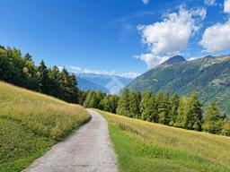 Terratetto unifamiliare Località Alp, Grosio