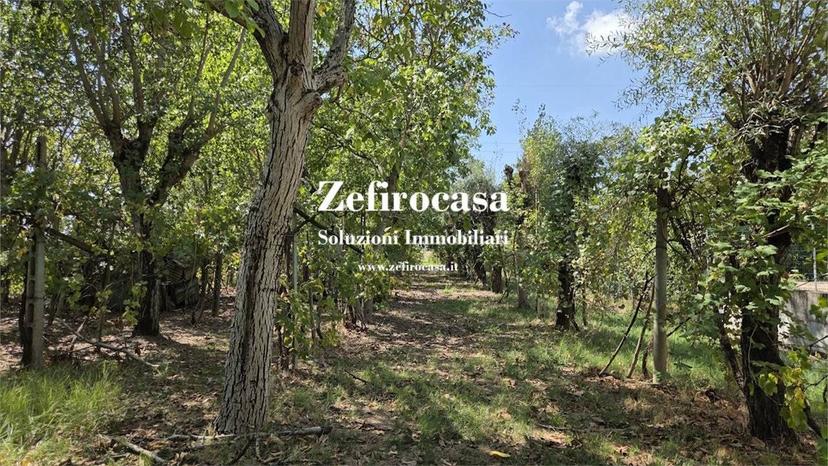 Villa unifamiliare, buono stato, 601 m², Biancolina, San Giovanni in Persiceto — foto 28 di 28