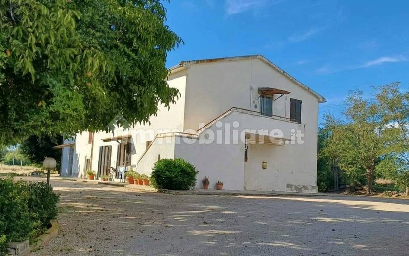 Quadrilocale Strada Litoranea, Capalbio — foto 10 di 10
