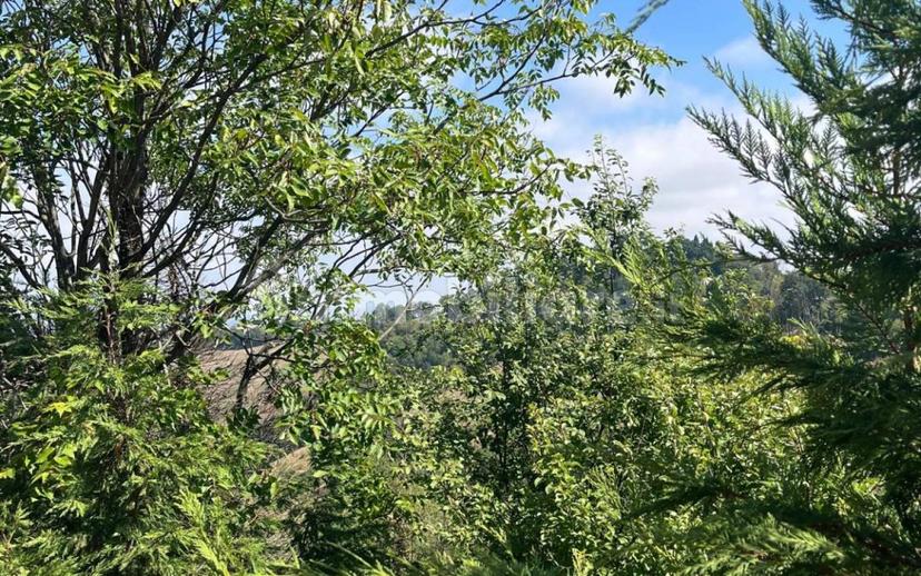 Villa bifamiliare, buono stato, 188 m², Albinea — foto 17 di 17