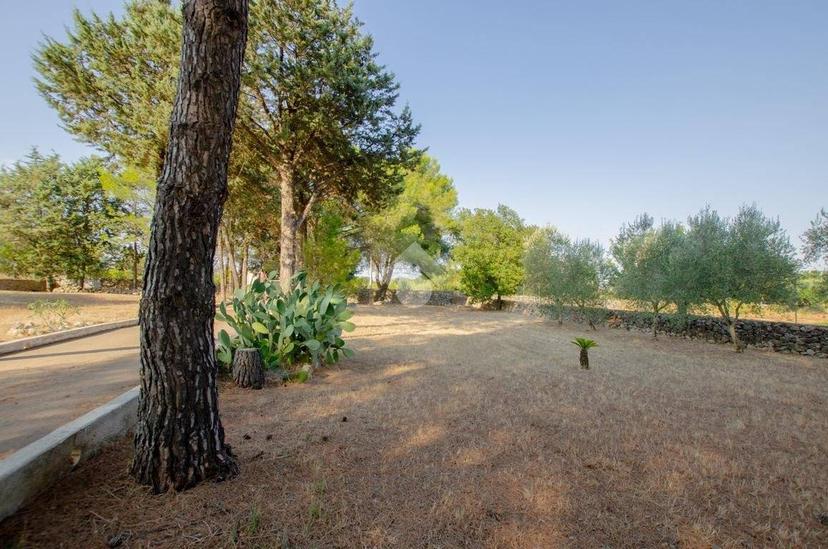 Villa unifamiliare Str. Vicinale delle Quote Magnati 720, Gioia del Colle — foto 13 di 43