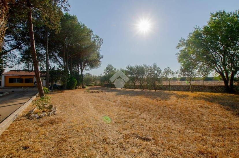 Villa unifamiliare Str. Vicinale delle Quote Magnati 720, Gioia del Colle — foto 39 di 43