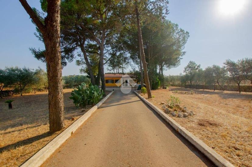 Villa unifamiliare Str. Vicinale delle Quote Magnati 720, Gioia del Colle — foto 5 di 43