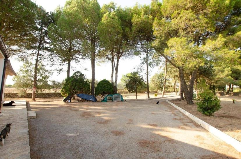 Villa unifamiliare Str. Vicinale delle Quote Magnati 720, Gioia del Colle — foto 12 di 43