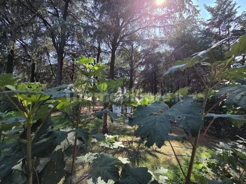 Villa unifamiliare Stradella via Rocca 9, Stradella — foto 42 di 56