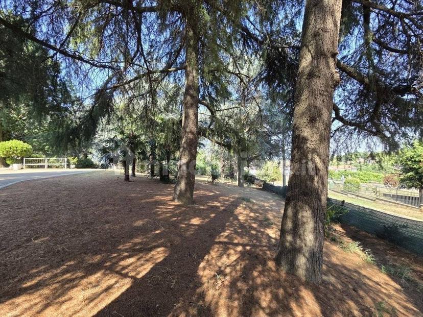 Villa unifamiliare Stradella via Rocca 9, Stradella — foto 15 di 56