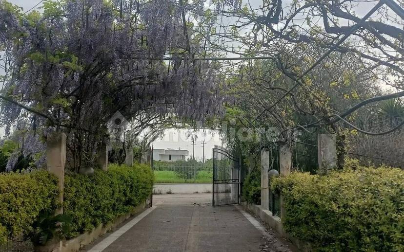 Villa unifamiliare Sp227, 3, Corigliano d'Otranto — foto 70 di 73