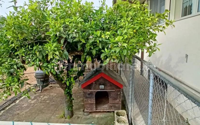 Villa unifamiliare Sp227, 3, Corigliano d'Otranto — foto 32 di 73