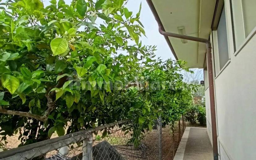 Villa unifamiliare Sp227, 3, Corigliano d'Otranto — foto 27 di 73
