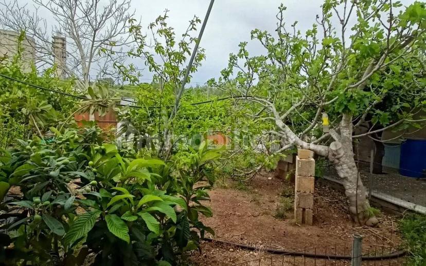 Villa unifamiliare Sp227, 3, Corigliano d'Otranto — foto 14 di 73
