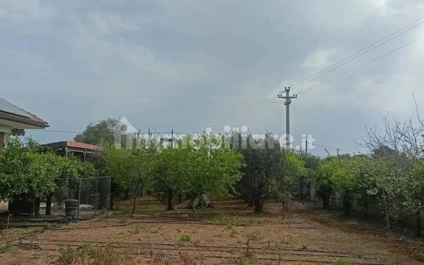 Villa unifamiliare Sp227, 3, Corigliano d'Otranto — foto 61 di 73