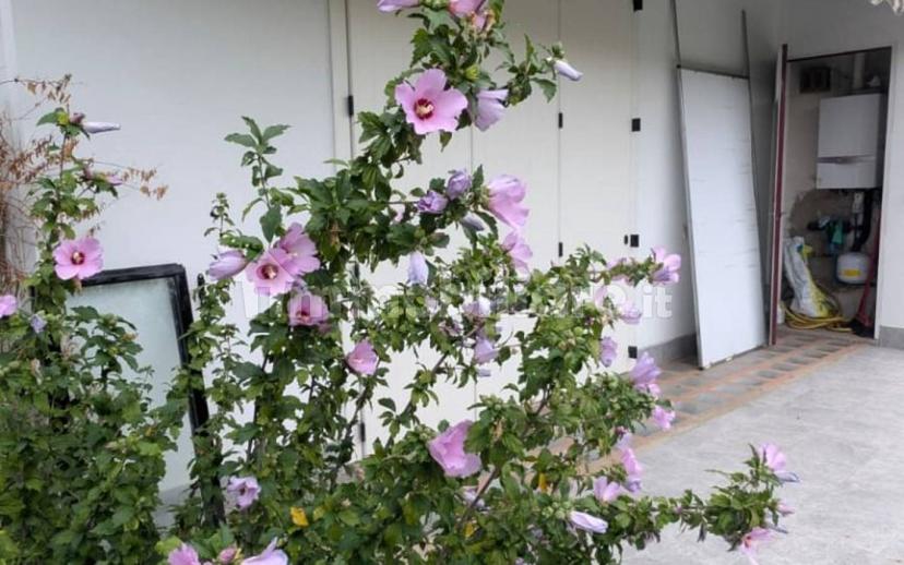 Villa unifamiliare, ottimo stato, 222 m², Gorle — foto 33 di 103
