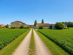 Rustico, da ristrutturare, 700 m², Centro, Castel Goffredo