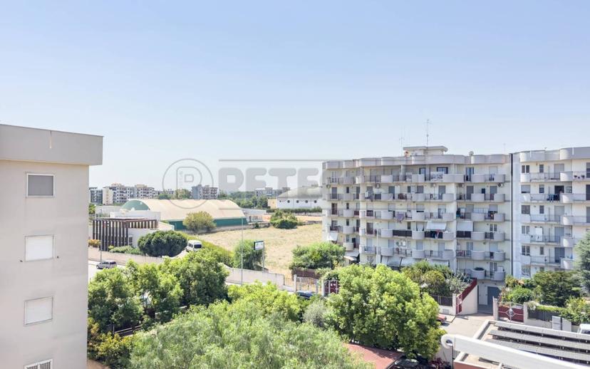 Quadrilocale via Vecchia Corato 107, Bisceglie — foto 12 di 14