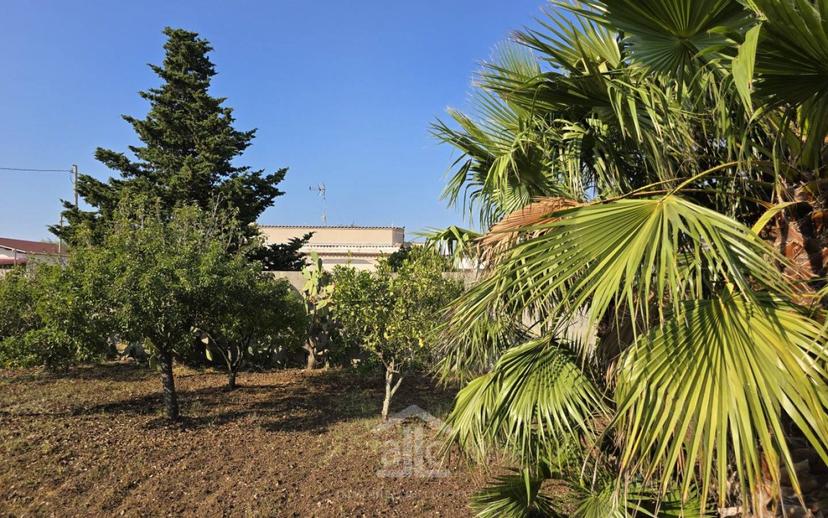 Villa unifamiliare via dei garofani 17, Borgo Grappa - Villaggio Gelsi, Lecce — foto 36 di 42