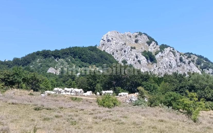 Bilocale viale San Domenico, Valle Del Sole, Pizzoferrato — foto 26 di 30