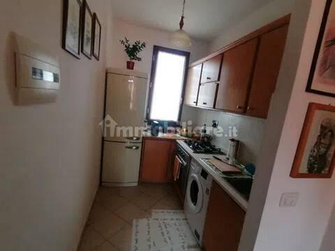 Trilocale Località Sassogrosso, Chioma, Nibbiaia, Rosignano Marittimo — foto 2 di 24
