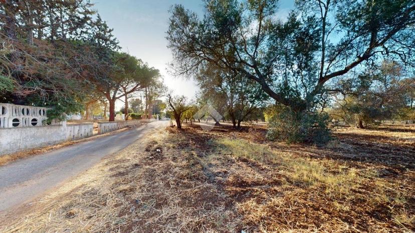 Villa unifamiliare Strada per Mascava 6, Montenegro, Brindisi — foto 8 di 36