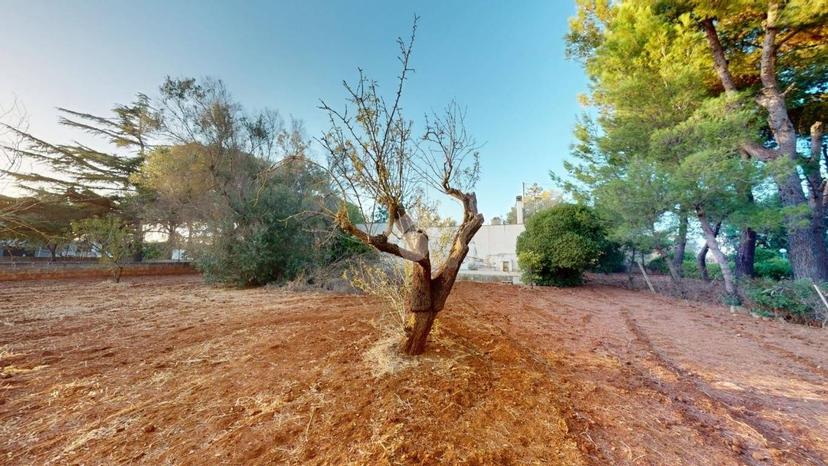 Villa unifamiliare Strada per Mascava 6, Montenegro, Brindisi — foto 31 di 36