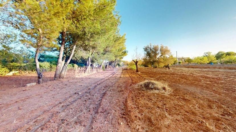 Villa unifamiliare Strada per Mascava 6, Montenegro, Brindisi — foto 17 di 36