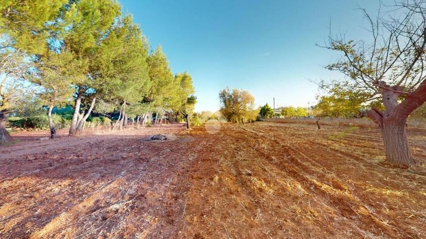 Villa unifamiliare Strada per Mascava 6, Montenegro, Brindisi — foto 12 di 36