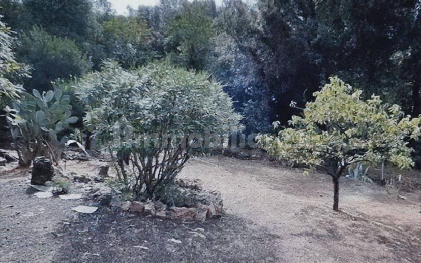 Villa unifamiliare Rio località le venelle snc, Rio — foto 19 di 30