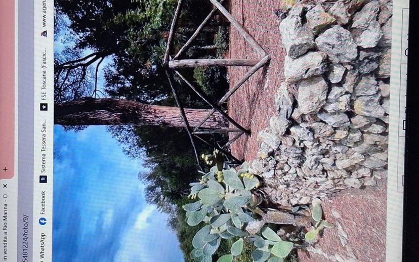 Villa unifamiliare Rio località le venelle snc, Rio — foto 18 di 30